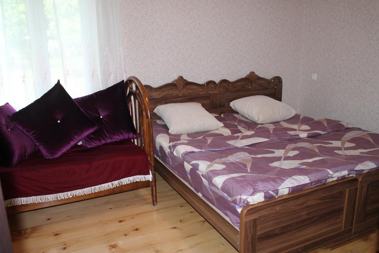 Beautiful Georgia Guesthouse Didi Jikhaishi Εξωτερικό φωτογραφία